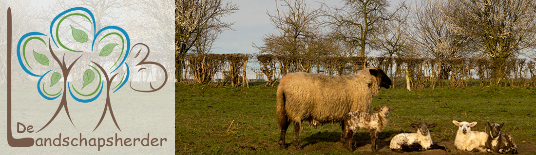 Logo De Landschapsherder